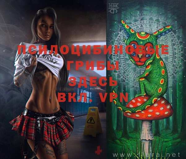 ешки Аркадак