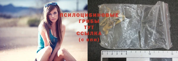 ешки Аркадак