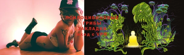 ешки Аркадак